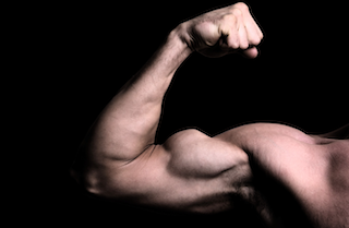 biceps brachii