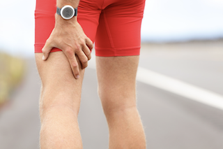 Hamstrings Hamstrings