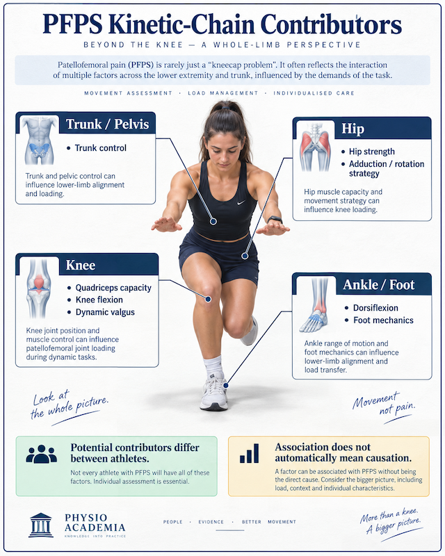 7c8c9ff6-de99-4d2d-aa3b-c2331b9a6428 Soccer athlete showing the different roles of the kicking leg and support leg