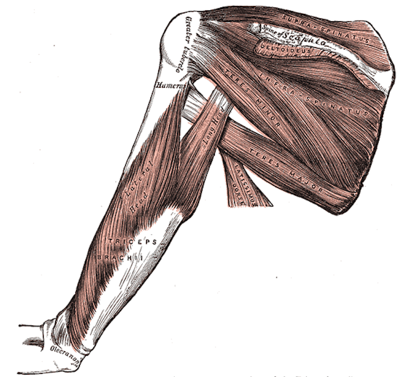 Gray412 Single-Leg Control