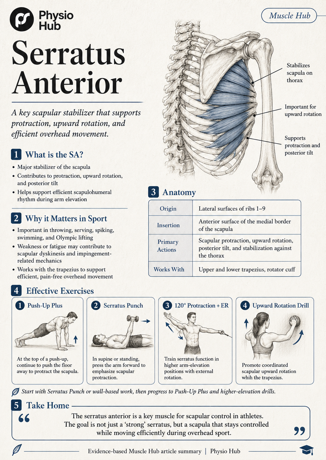 PH Serratus Anterior PH Single-Leg Control