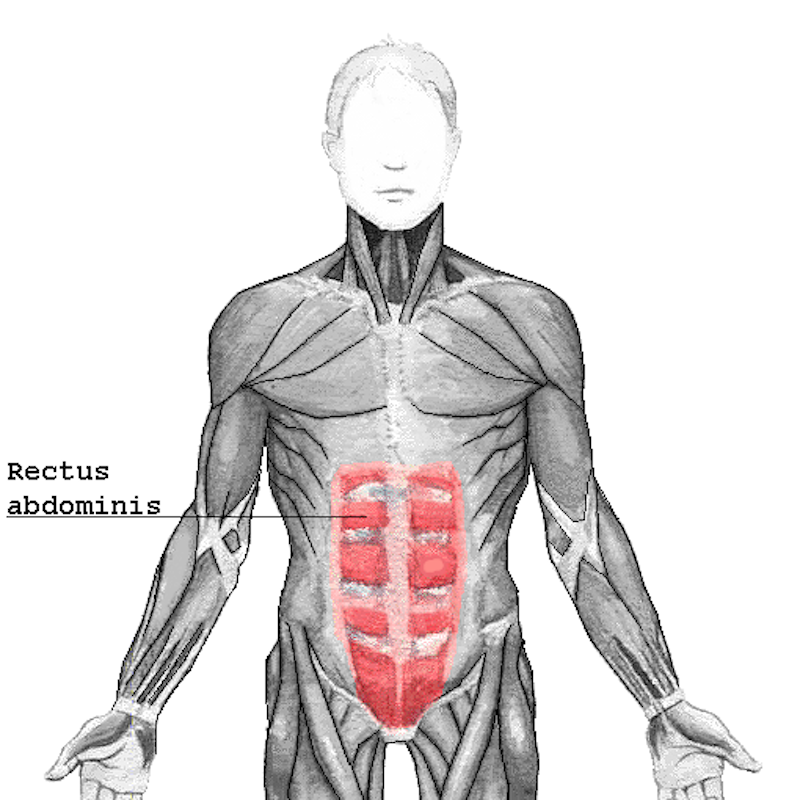 Rectus_abdominis Single-Leg Control