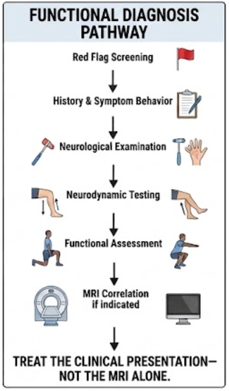 Screenshot 2026-09-04 at 4.57.18 PM Diagram showing that injury risk depends on multiple factors beyond limb asymmetry alone