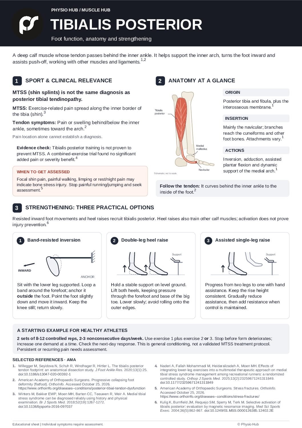 PH Tibialis Posterior PH Single-Leg Control
